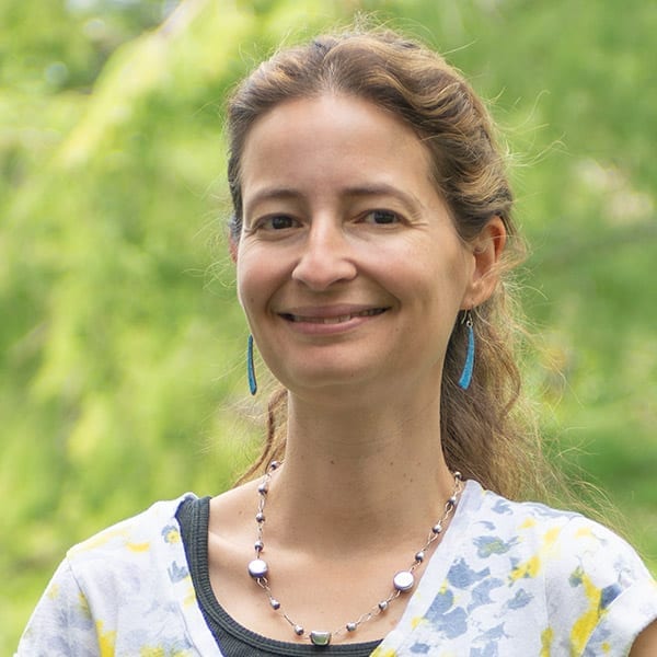 Professor